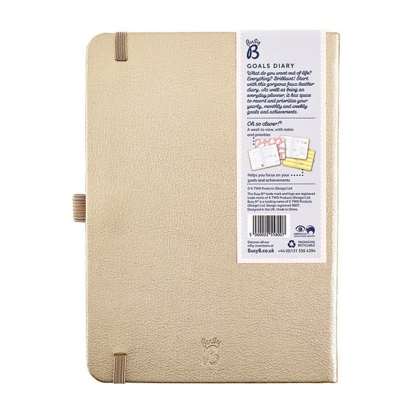 Dnevnik za 2019. s zauzetim B ciljevima-image-4