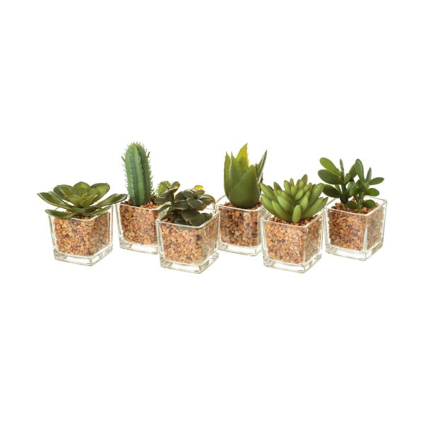 Umjetne biljke u setu 6 kom (visina 8 cm) Cactus – Casa Selección