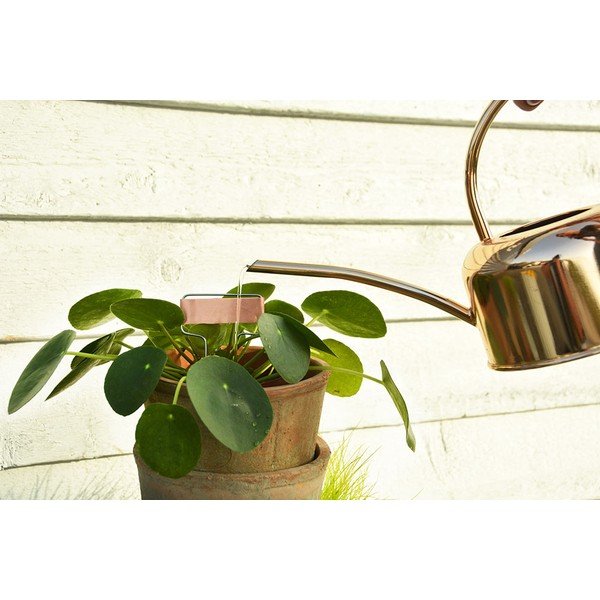 Metalna kanta za vodu 1 l – Esschert Design-image-3