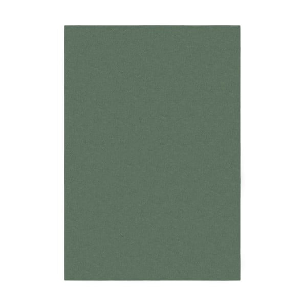 Zeleni tepih 80x150 cm – Flair Rugs