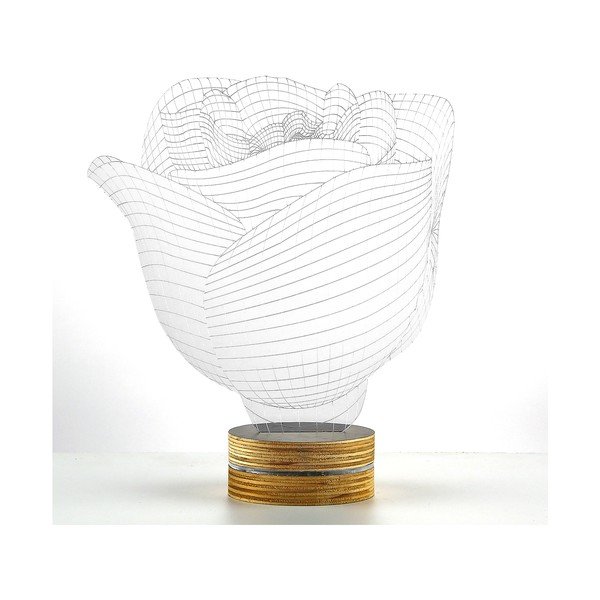 3D stolna lampa Rose-image-1