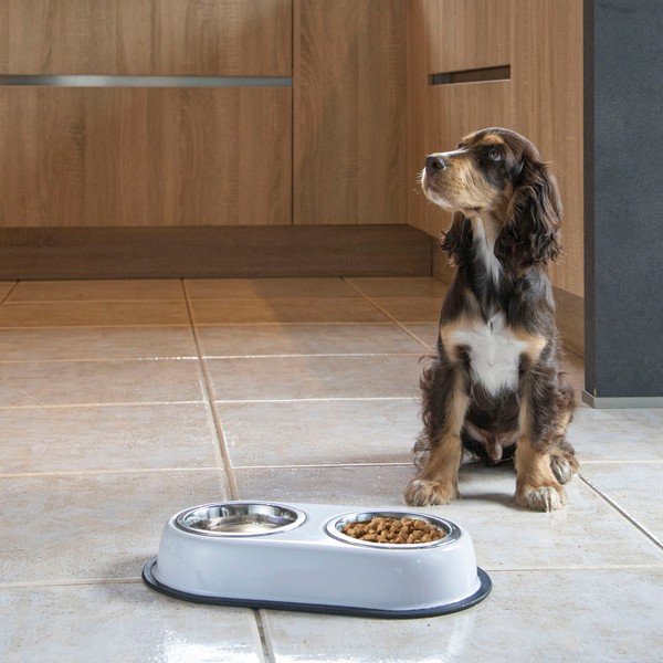 Plastični set posuda s postoljem za pse – Love Story-image-1