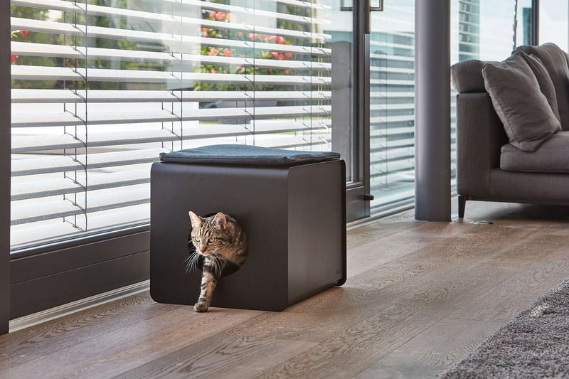 Inspiracija: Dnevna soba, Kućni ljubimci, Skandinavski stil