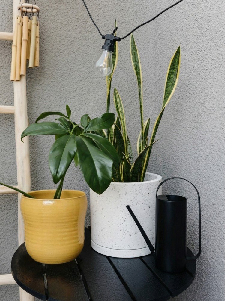 Inspiracija: Balkon i terasa, Vrt