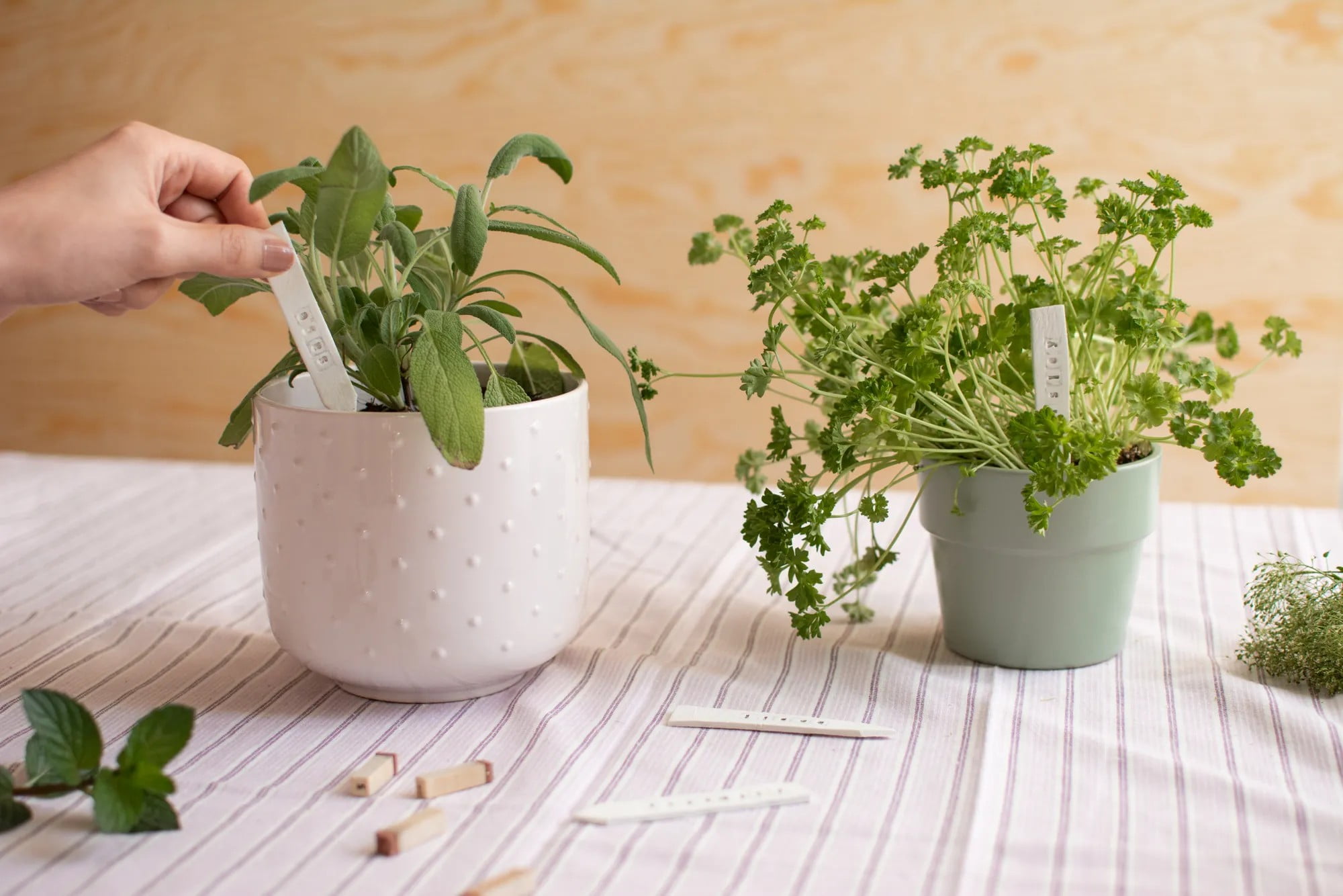 Nabavite praktične naljepnice s biljem kako biste znali koja je biljka! Možete ih napraviti čak i od samostvrdnjavajućeg materijala.