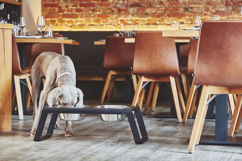 Inspiracija: Dnevna soba, Kućni ljubimci, Skandinavski stil