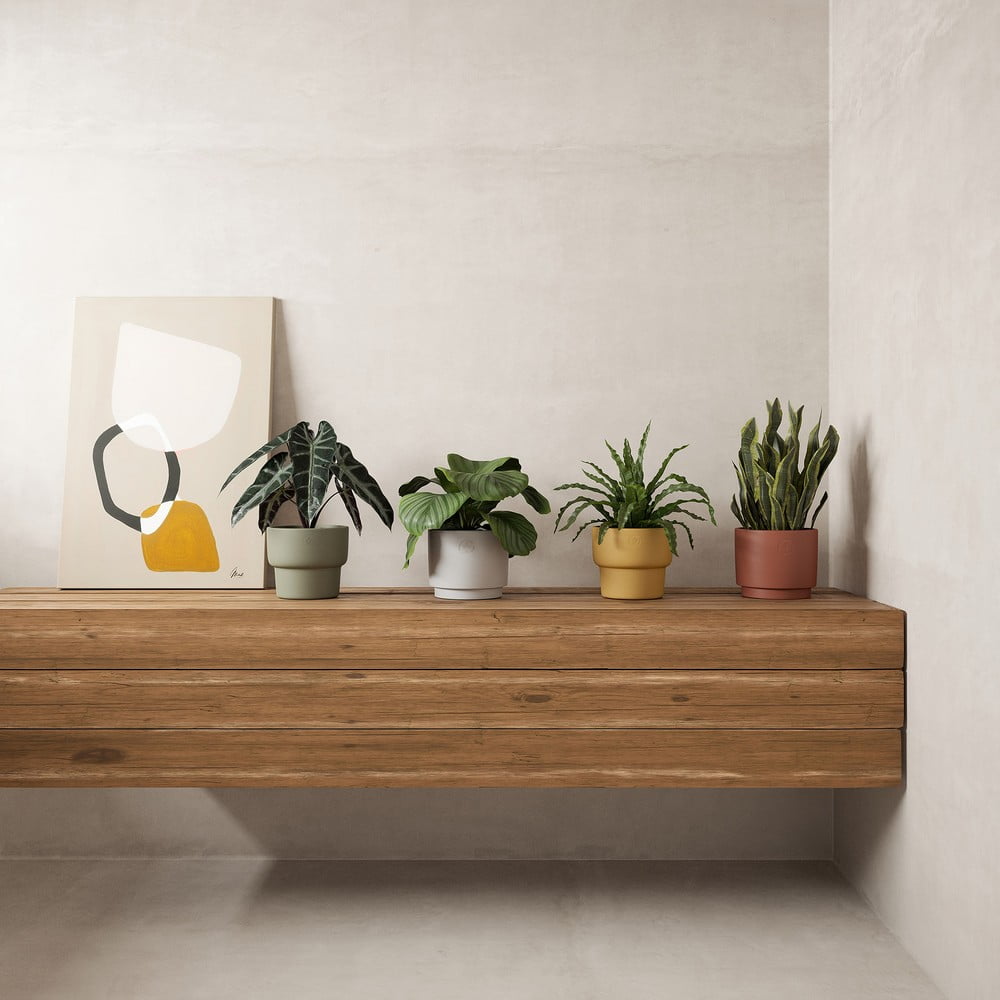 Inspiracija: Dekoracije