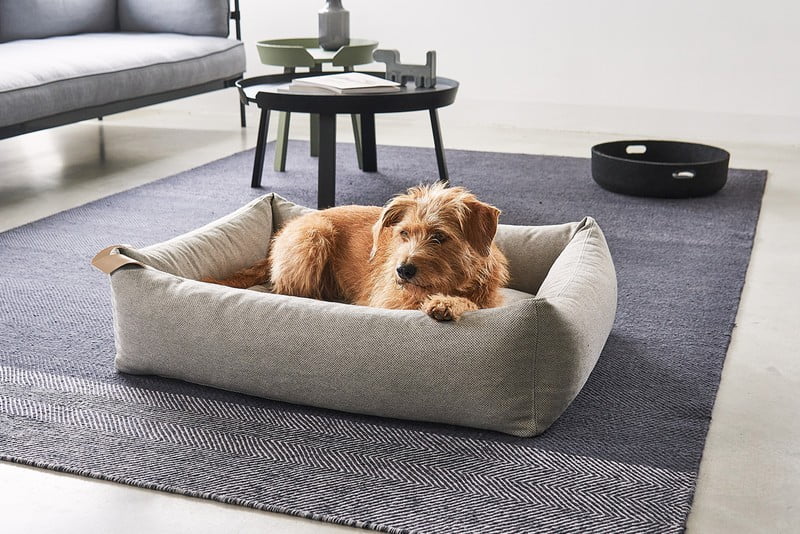 Inspiracija: Dnevna soba, Kućni ljubimci