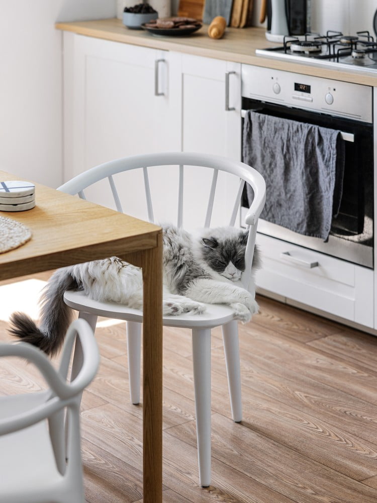 Inspiracija: Kuhinja i blagovaonica