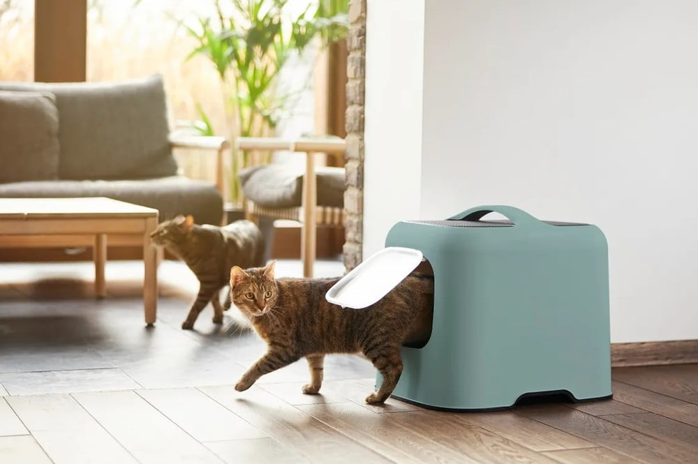 Inspiracija: Kućni ljubimci