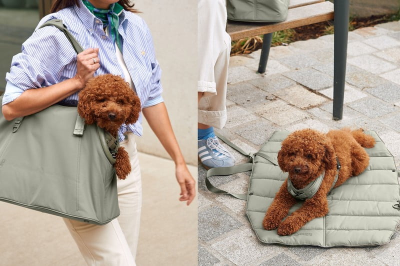 Inspiracija: Kućni ljubimci