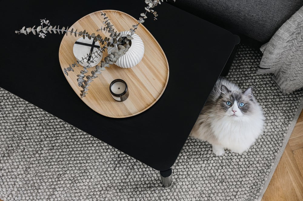 Inspiracija: Dnevna soba, Skandinavski stil