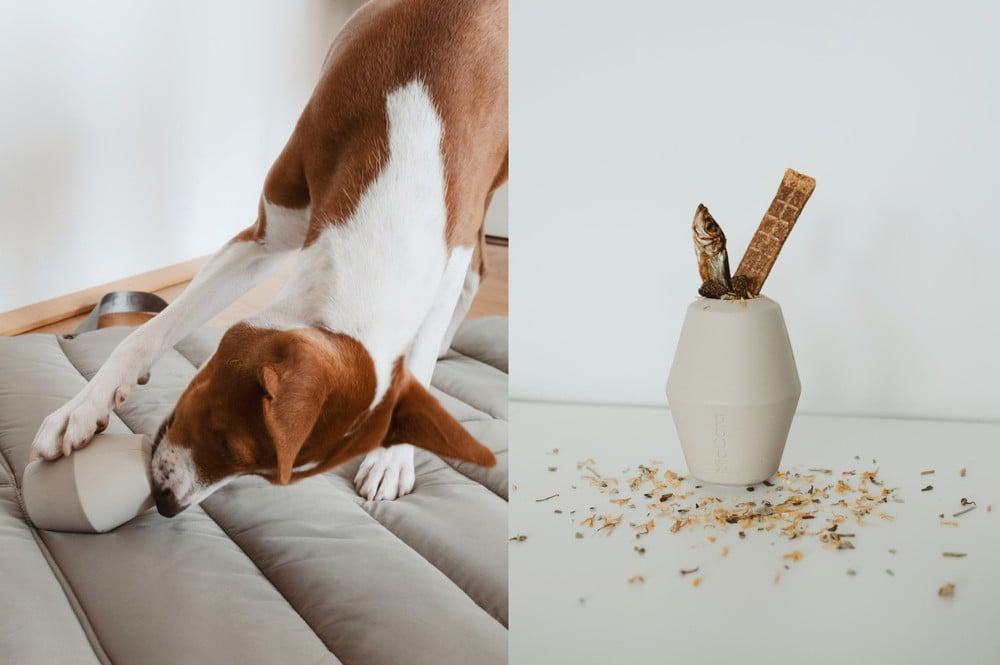 Inspiracija: Kućni ljubimci