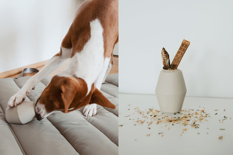 Inspiracija: Kućni ljubimci