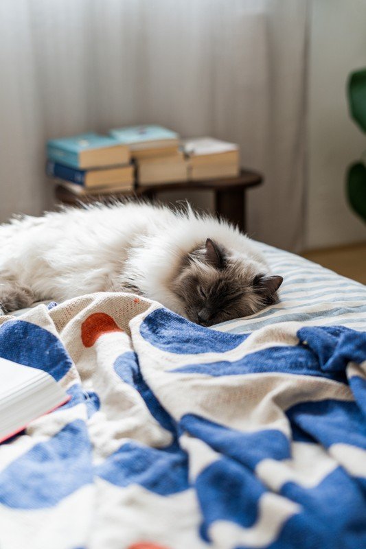 Inspiracija: Dekoracije