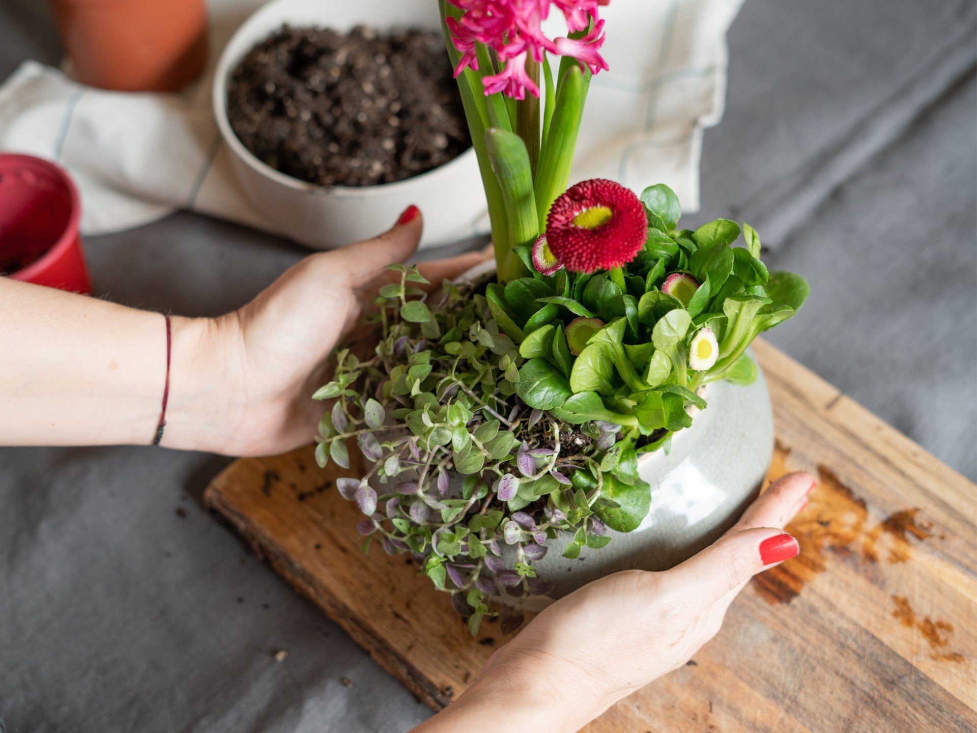 Proljetni ukrasi od lukovica i cvjetnica