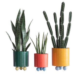 Cvijeće i tegle za cvijeće