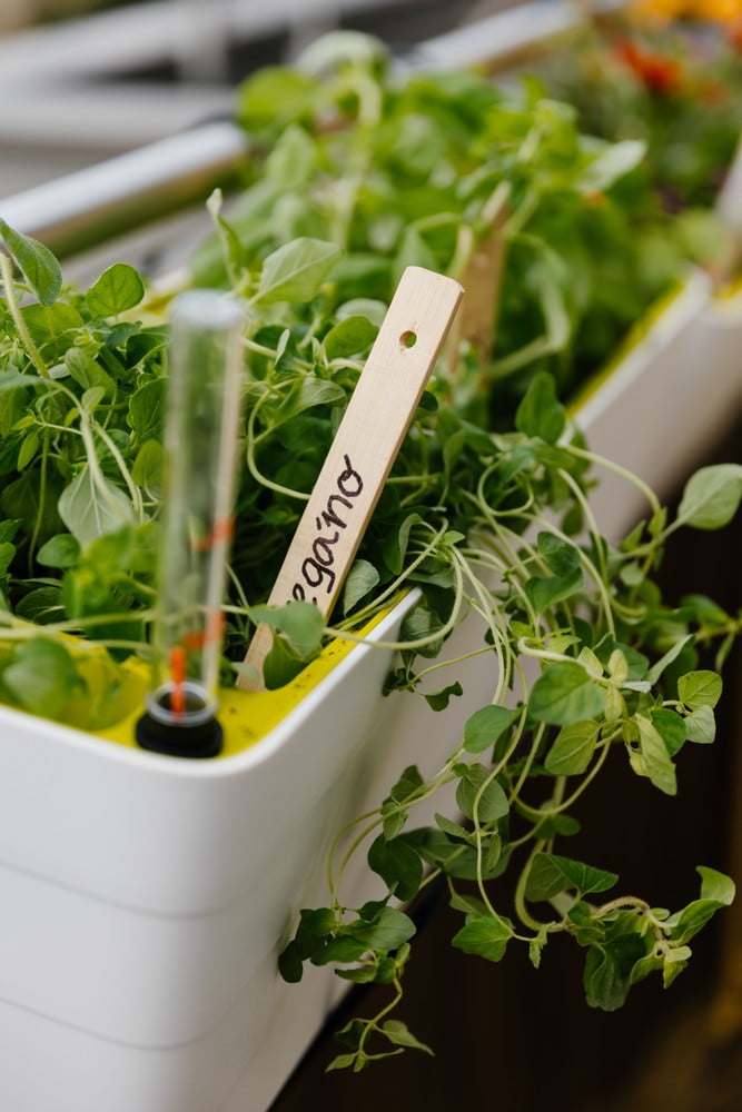 Inspiracija: Balkon i terasa