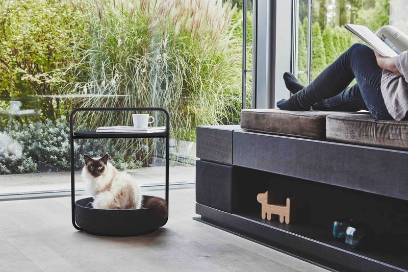 Inspiracija: Dnevna soba, Kućni ljubimci, Skandinavski stil