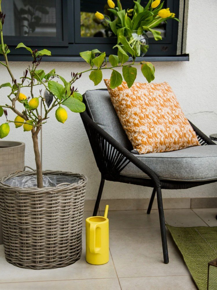 Inspiracija: Balkon i terasa, Vrt