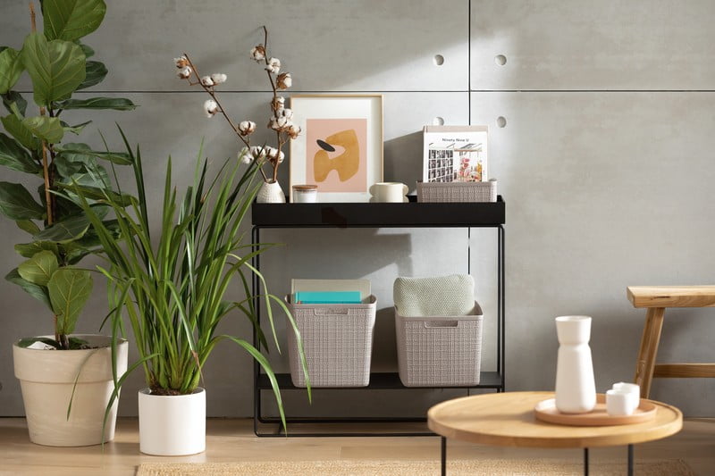 Inspiracija: Dnevna soba, Čišćenje i organizacija