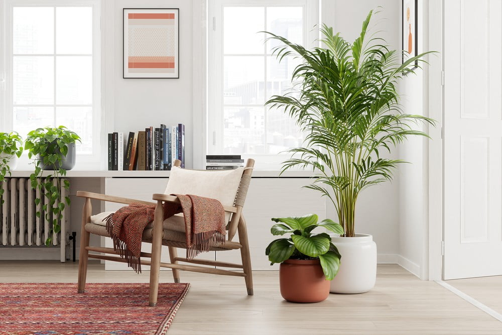 Inspiracija: Dekoracije