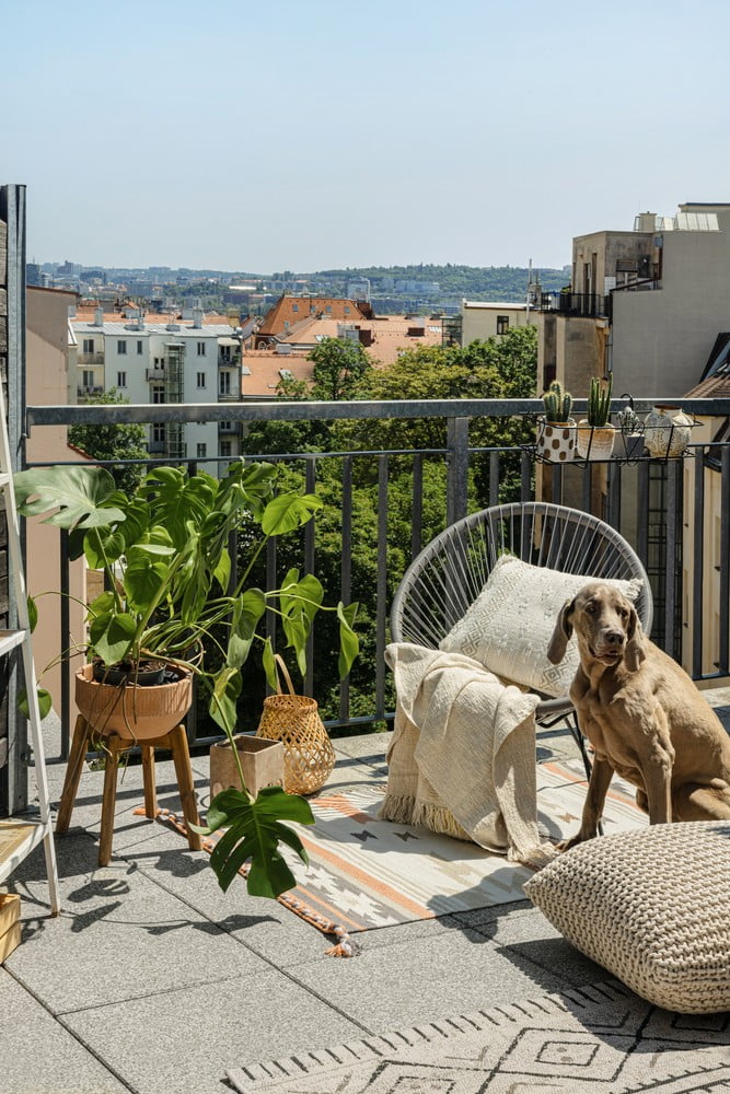 Inspiracija: Boho stil, Vrt, Balkon i terasa, Posjeti