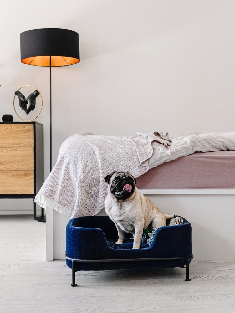 Inspiracija: Spavaća soba