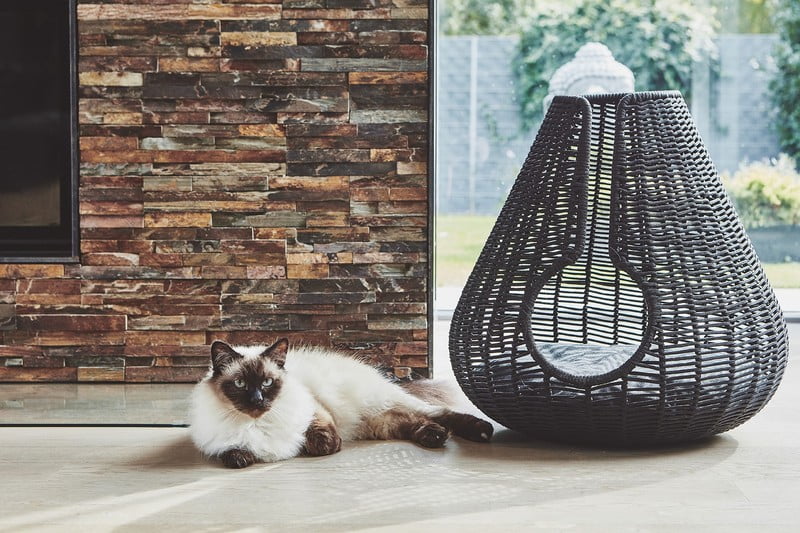 Inspiracija: Dnevna soba, Kućni ljubimci, Skandinavski stil