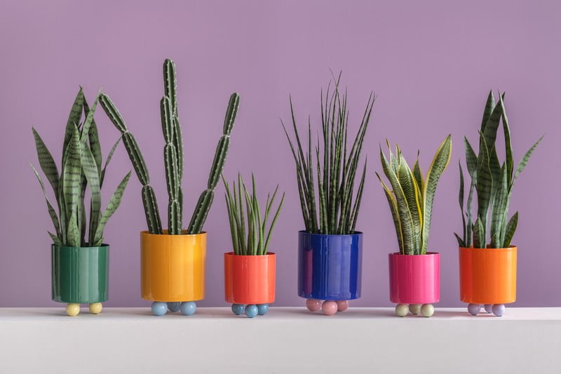 Inspiracija: Dekoracije