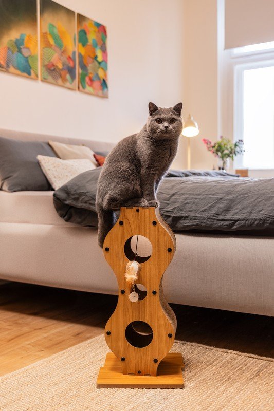 Inspiracija: Posjeti