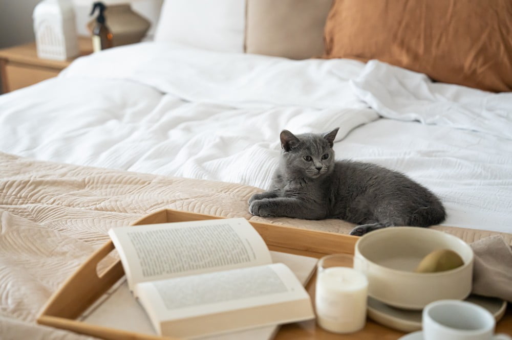 Inspiracija: Spavaća soba, Klasični stil, Jesen, Tekstil