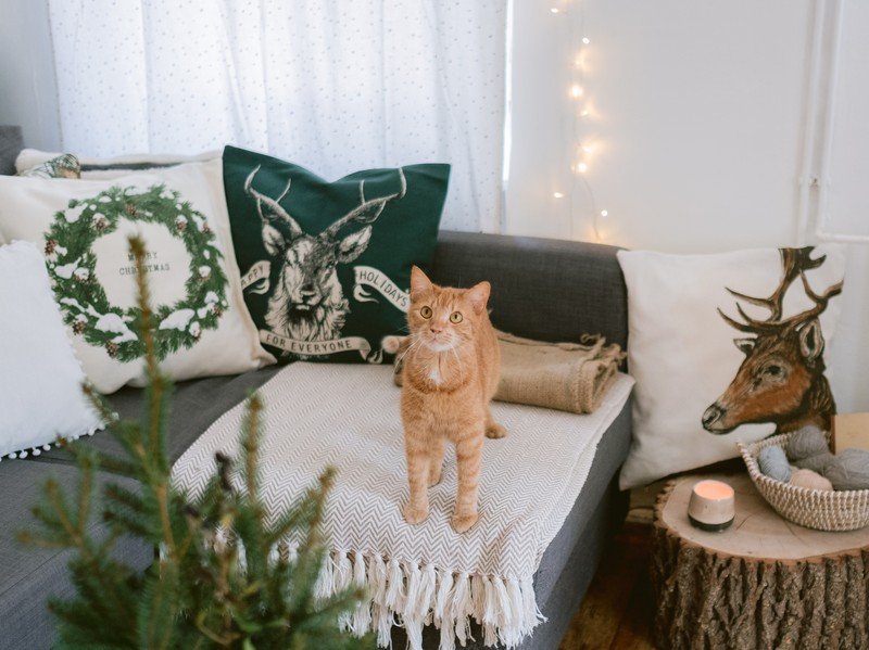 Inspiracija: Božić, Dnevna soba