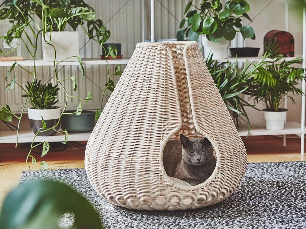 Inspiracija: Kućni ljubimci