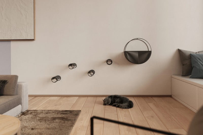 Inspiracija: Dnevna soba, Kućni ljubimci, Skandinavski stil