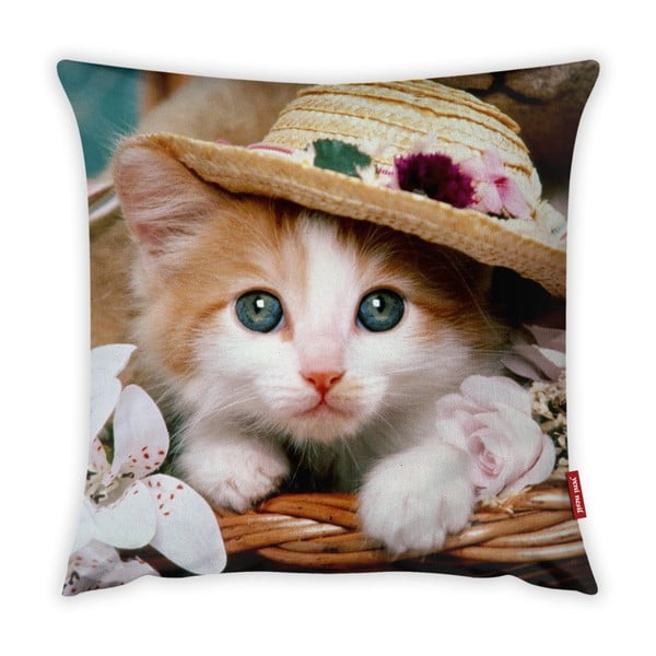 Jastučnica Vitaus Cute Kitten, 43 x 43 cm