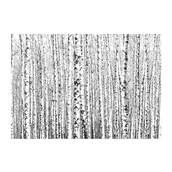 Grandformat Wallpaper Artgeist Birch šuma, 200 x 140 cm