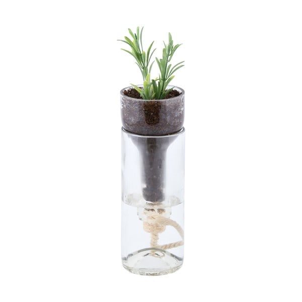 Staklena vaza sa sustavom samozalijevanja Esschert Design