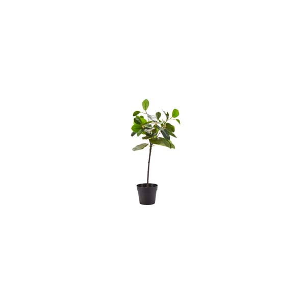Umjetna biljka Bahne & CO, visina 40 cm