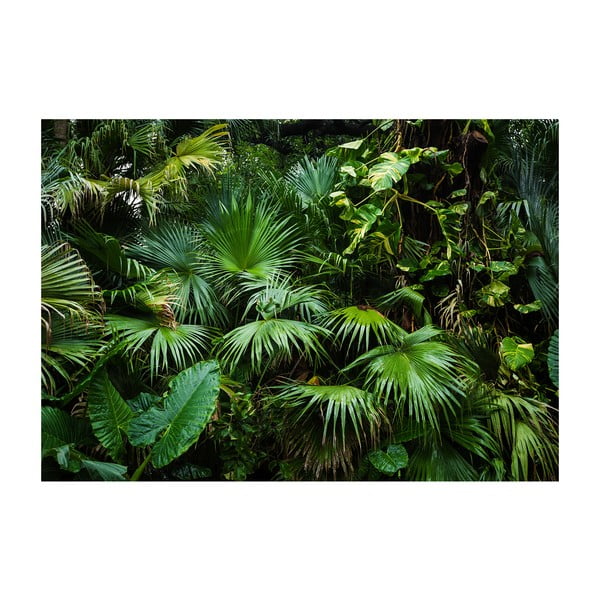 Veliki format Wallpaper Artgeist Sunčana džungla, 200 x 140 cm