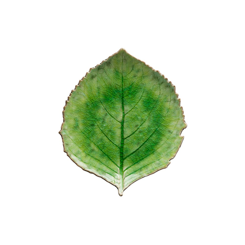 Zeleni zemljani tanjur Costa Nova Riviera, 19 x 22 cm