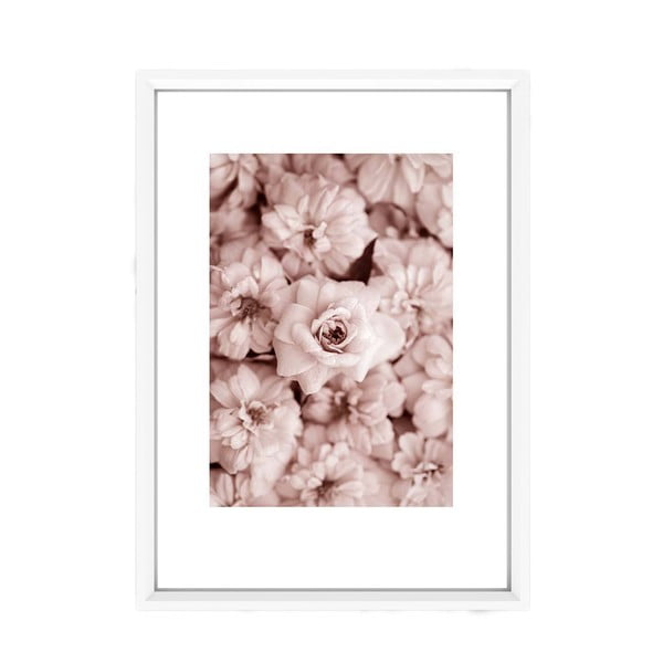 Slika Piacenza Art Roses In Rosé, 30 x 20 cm
