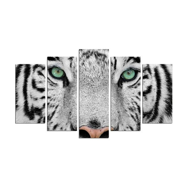 Višedijelna zidna slika Snow Tiger
