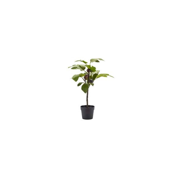Umjetna biljka Bahne & CO, visina 40 cm