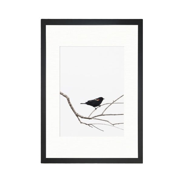 Slika Tablo Center Birdy, 24 x 29 cm