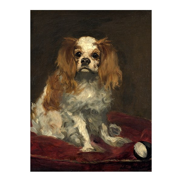 Reprodukcija slike Edouarda Maneta - A king Charles Spaniel, 40 x 30 cm